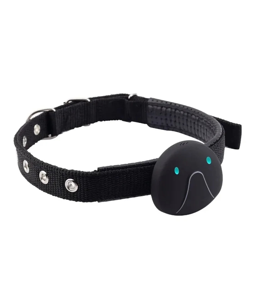 Alaika Global-Trace 4G: Real-Time GPS & Activity Monitor