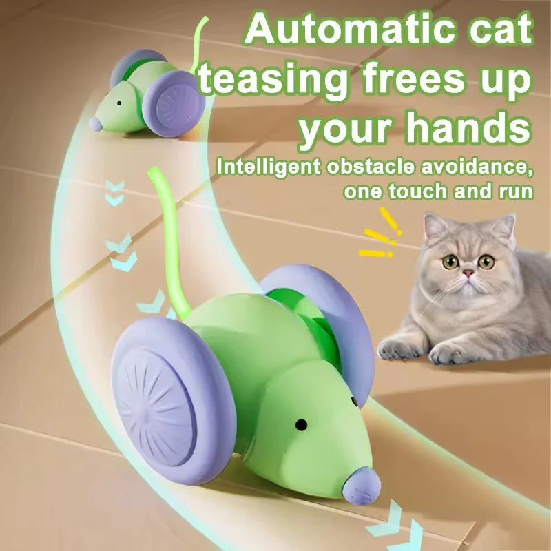 Alaika Smart Interactive Moving Mouse (Anti-Jam Pet Toy)