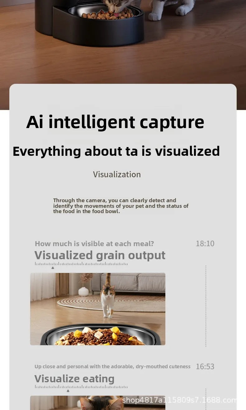The Alaika Guardian: Remote Voice & Video Feeder