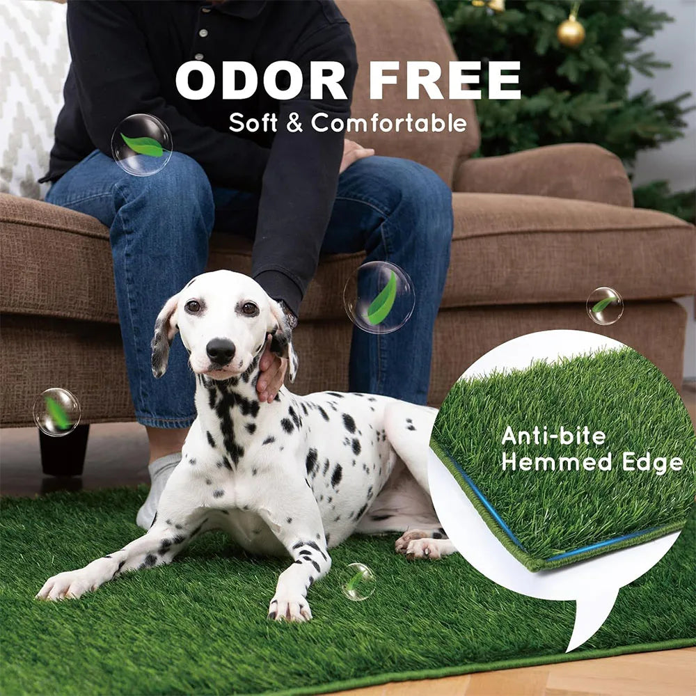 Alaika EcoTurf™ Smart Training Mat