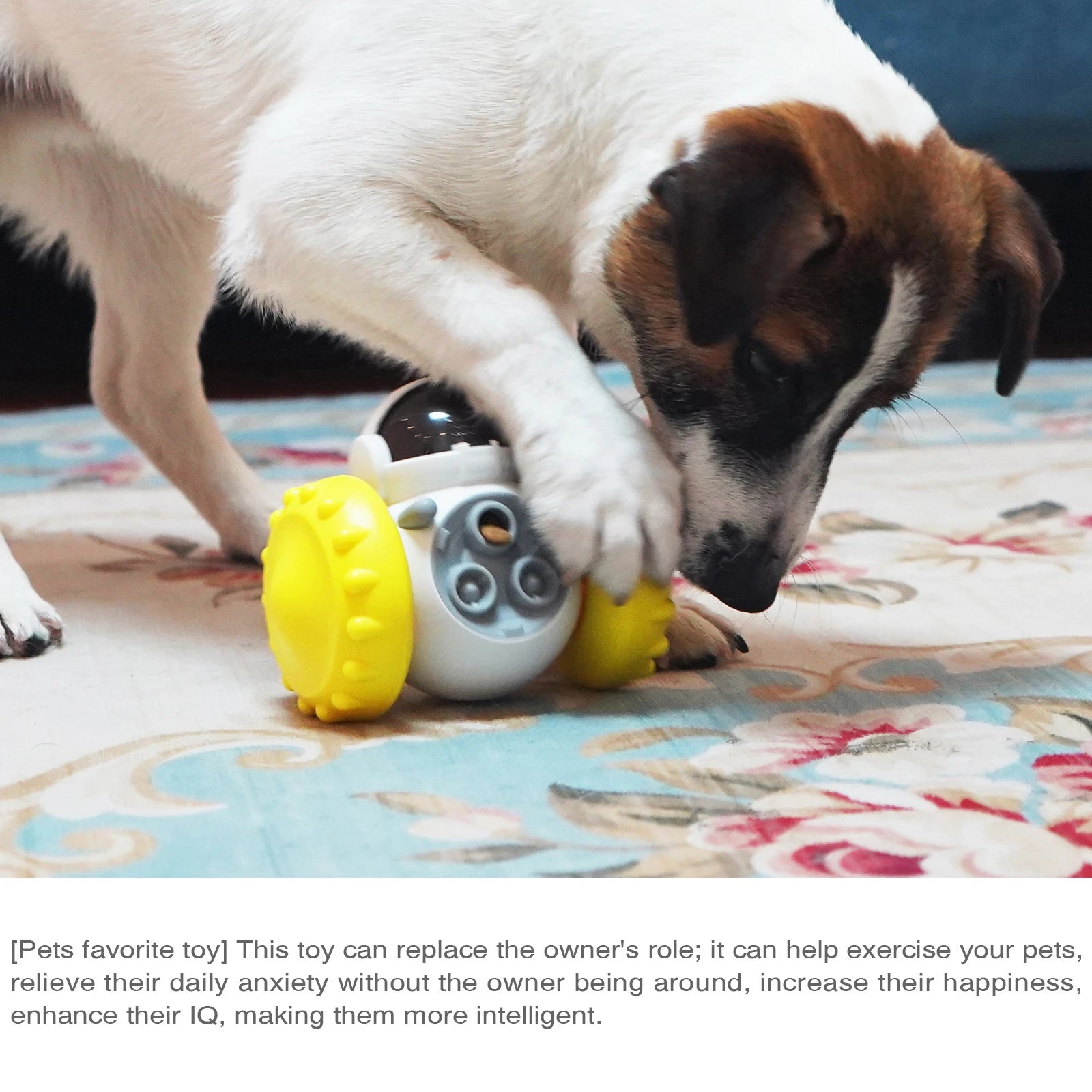 Alaika ZenGlide™ Interactive Treat Puzzle