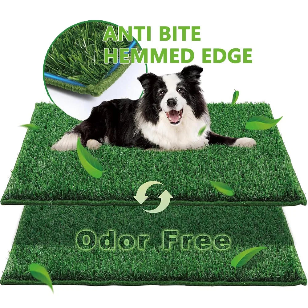 Alaika EcoTurf™ Smart Training Mat