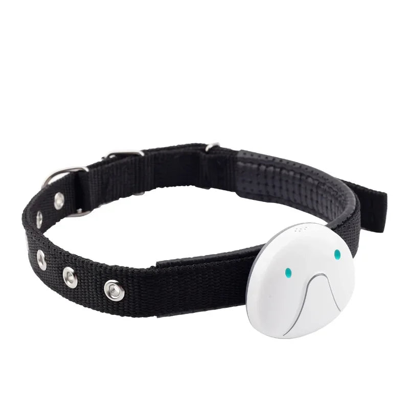 Alaika Global-Trace 4G: Real-Time GPS & Activity Monitor