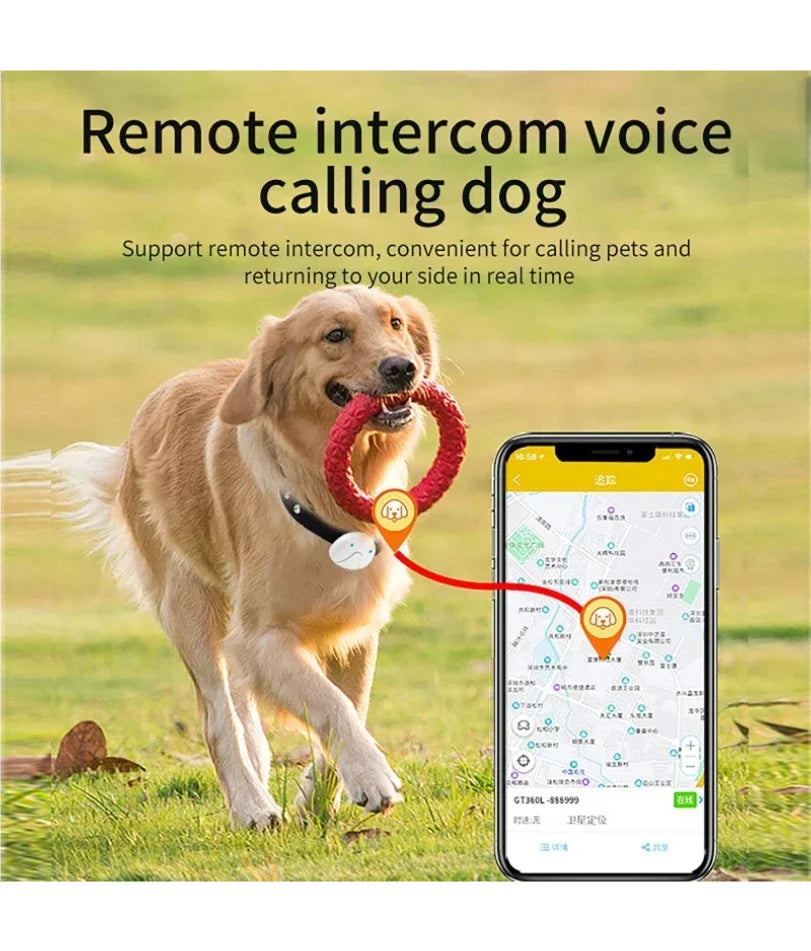 Alaika Global-Trace 4G: Real-Time GPS & Activity Monitor